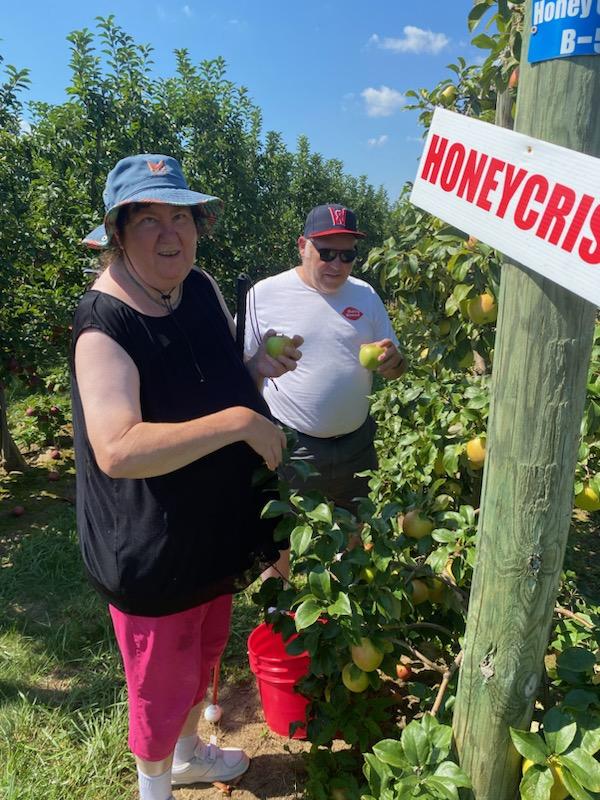 Martina and Gary looking for the perfect Honey Crisp apples at Holmberg's Orchards